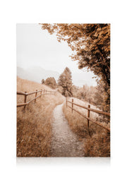 Path to Home Canvas print