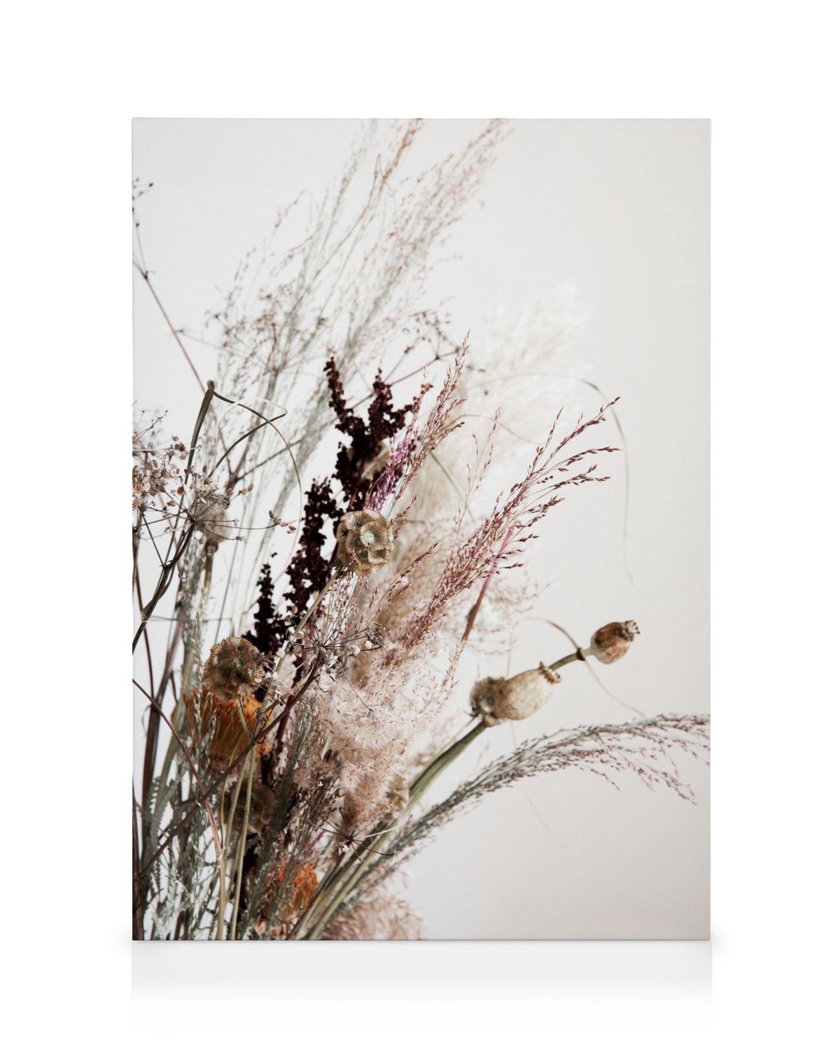 Dried Bouquet No2 Canvas print