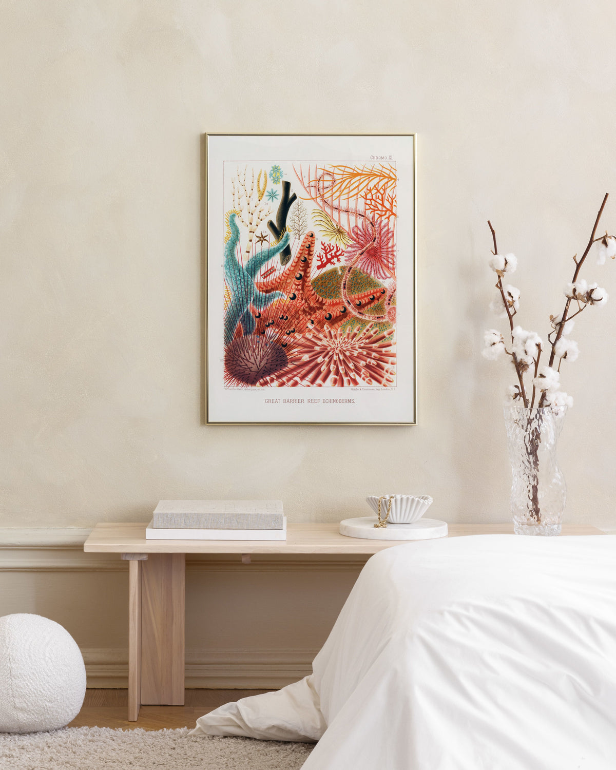 Great Barrier Reef Print