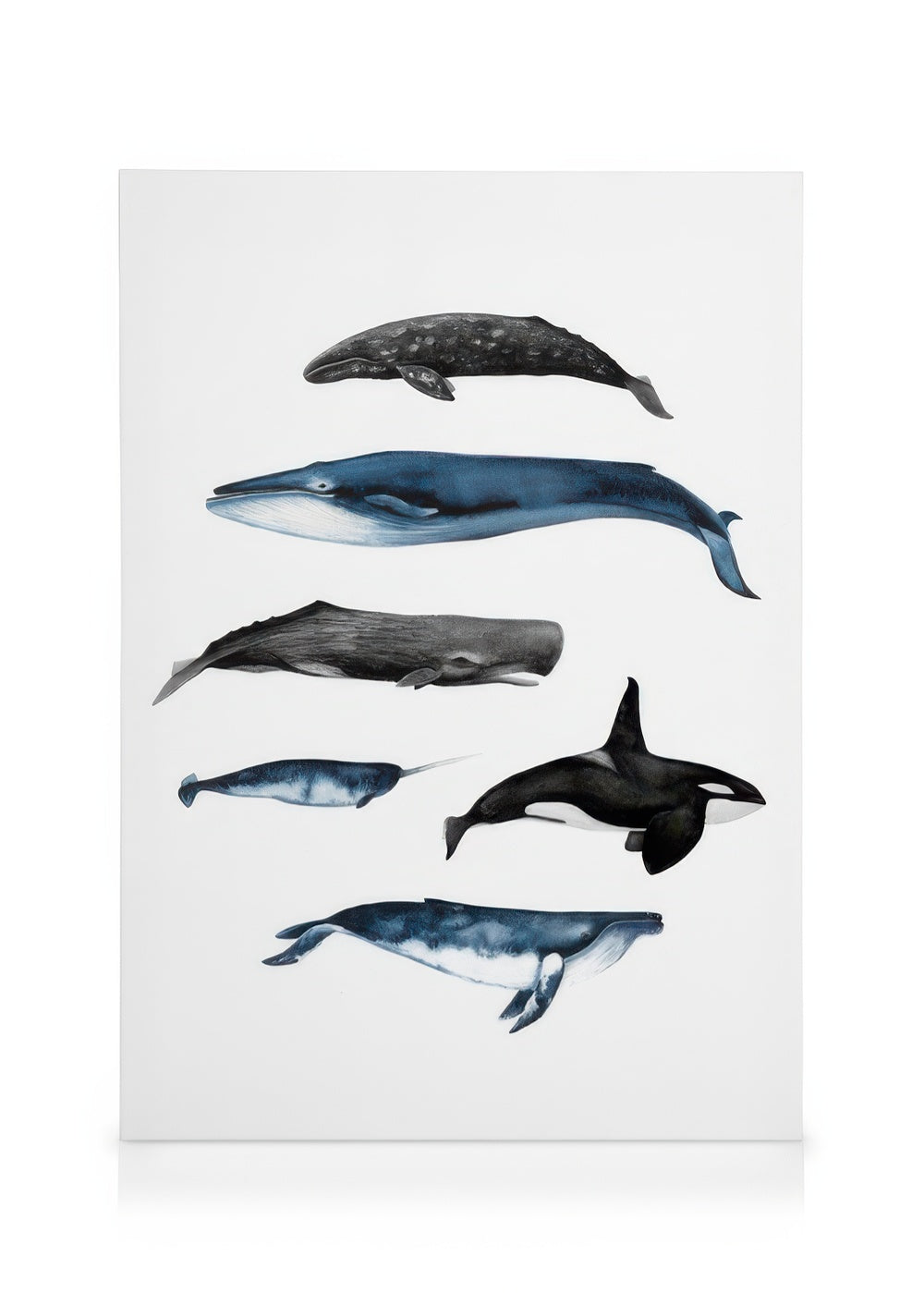 Whales Canvas print