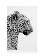Leopard Profile Canvas print