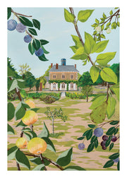 Jaron Su - Le Fruit Chateau Print