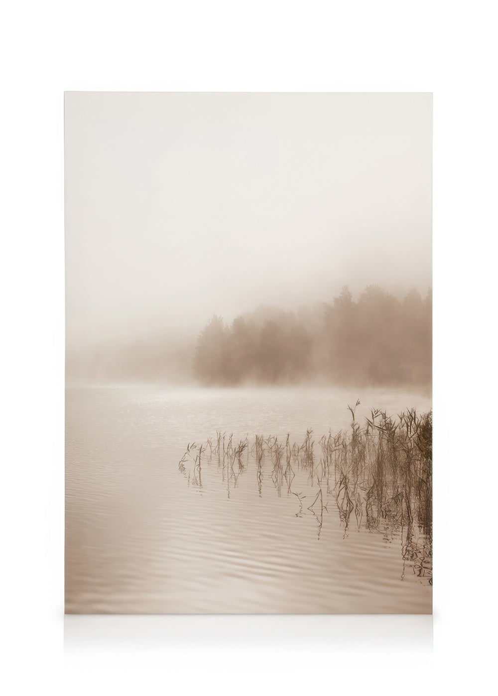 Calm Foggy Lake Canvas print