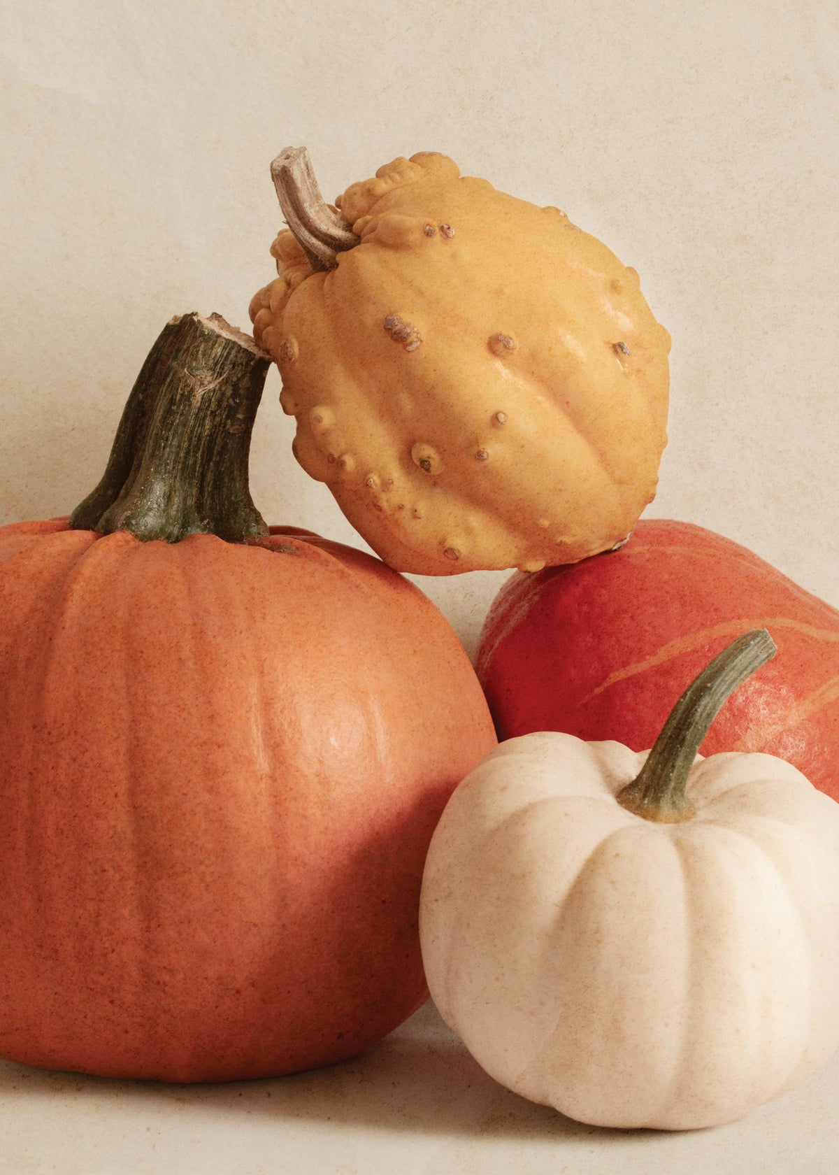 Pile of Pumpkins Print