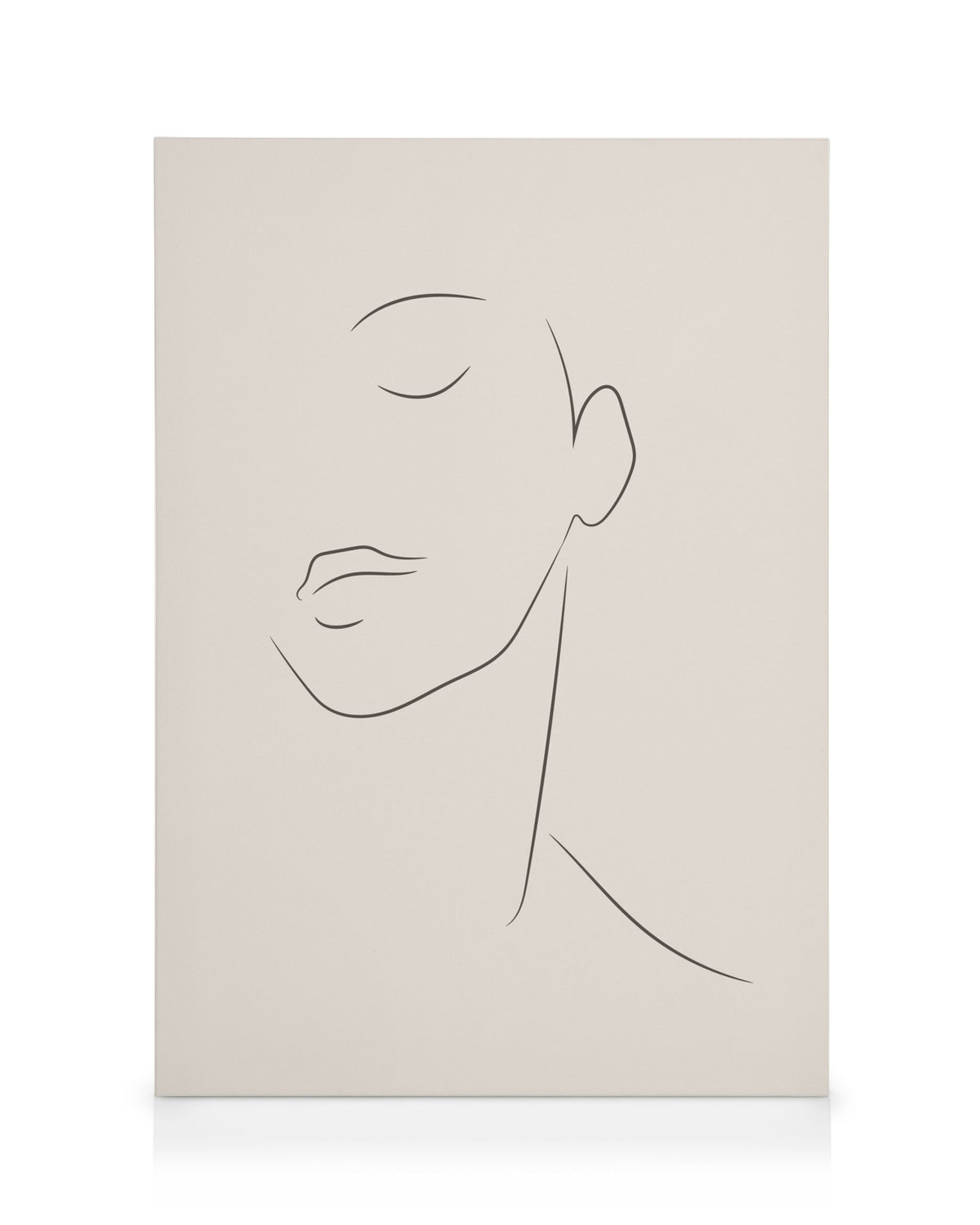 Simple Lines No2 Canvas print