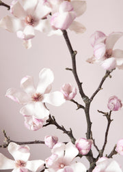Pink Spring Flower Print