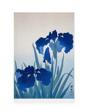 Ohara Koson - Iris Flowers Canvas print