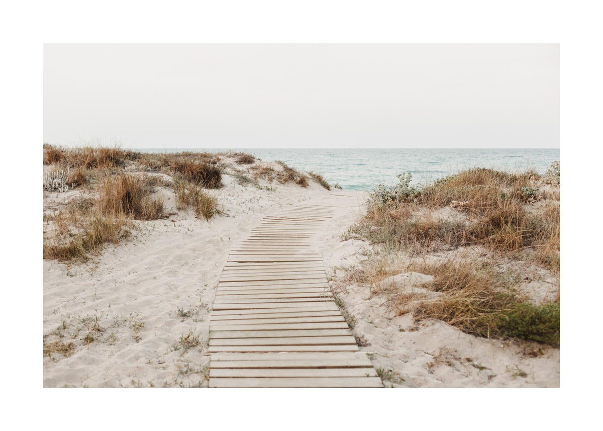 Beach Path Print