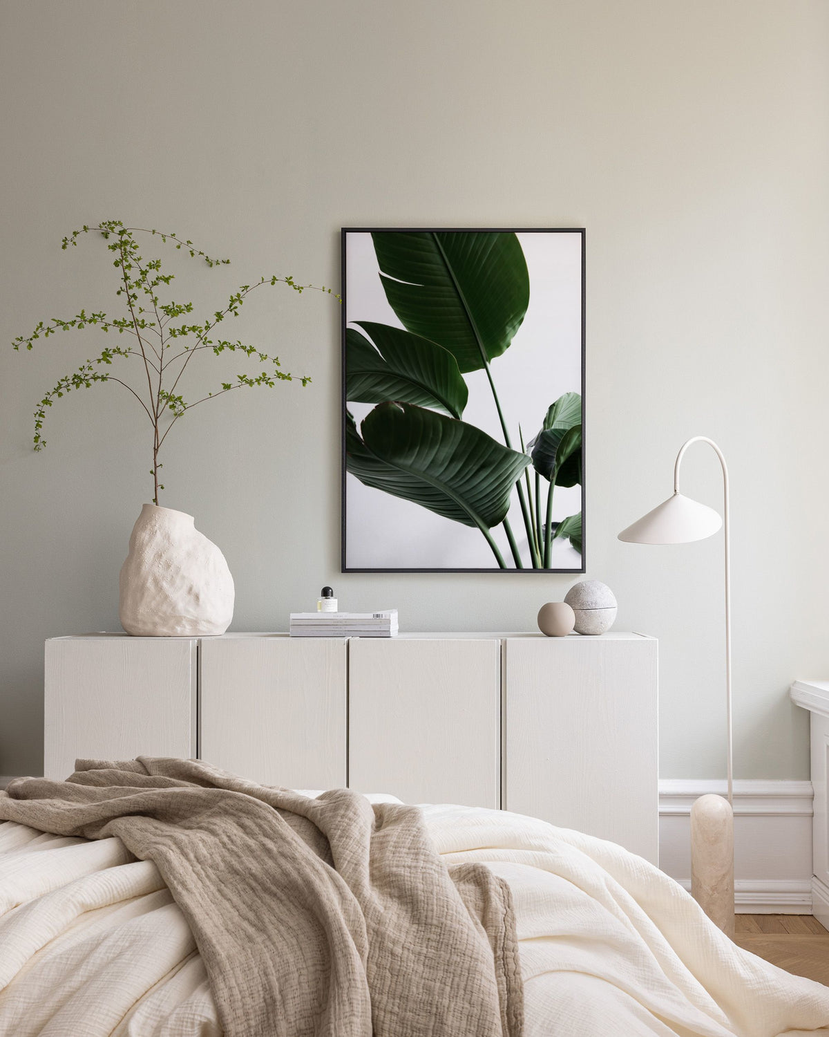 Strelitzia One Canvas print