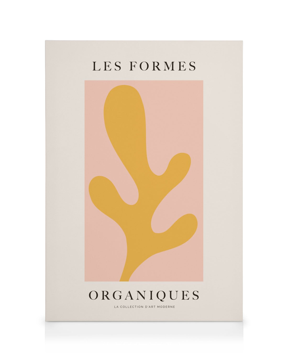 Les Formes Organiques Canvas print