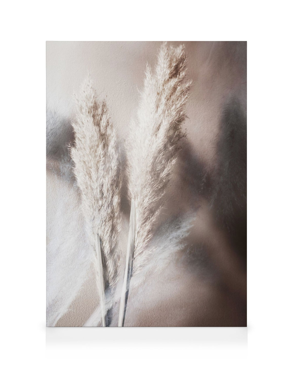 Abstract Reeds No1 Canvas print
