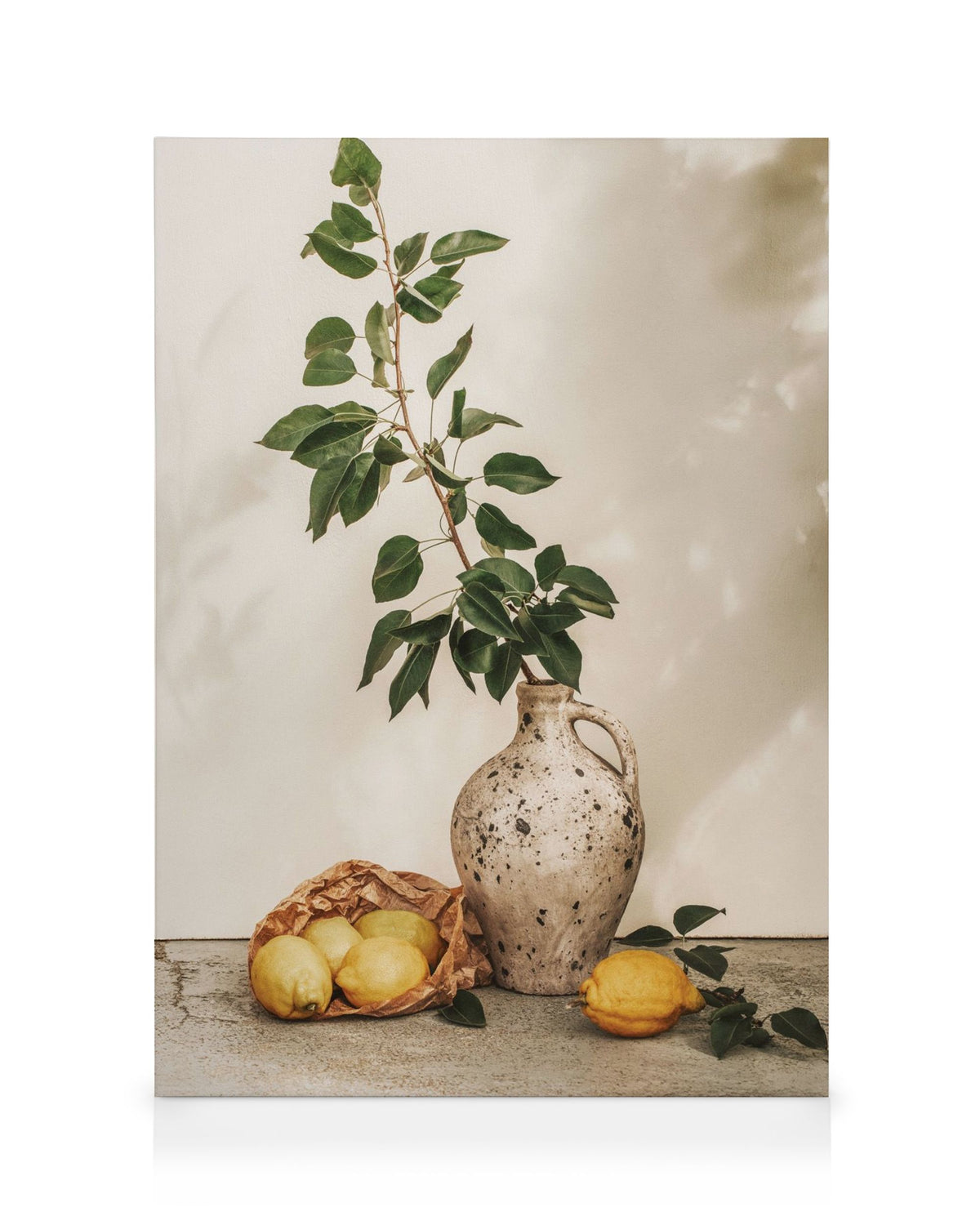Afternoon Lemons Canvas print