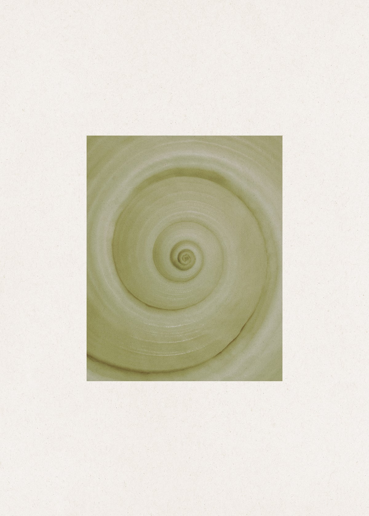Spiral Study Plagát