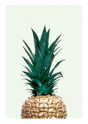 Green Pineapple, Print
