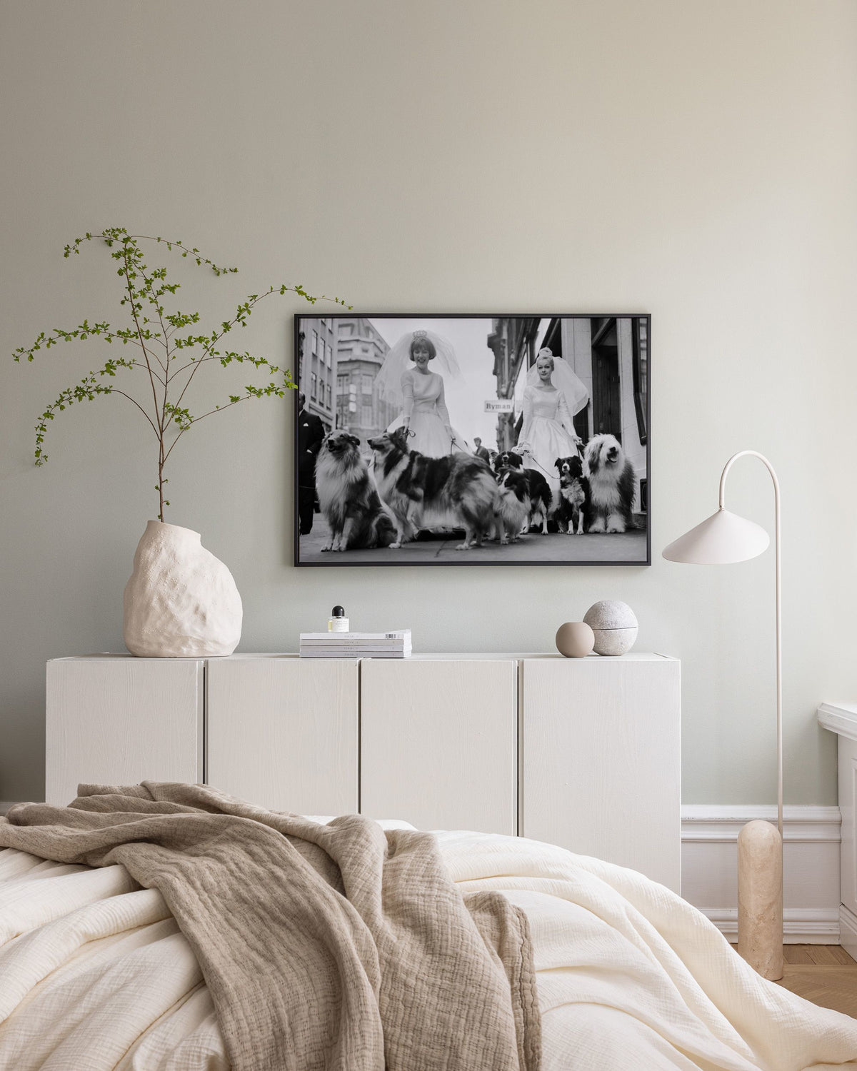 Soho Sheep Dogs Canvas print