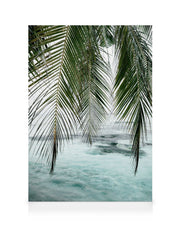 Ocean Palm Canvas print