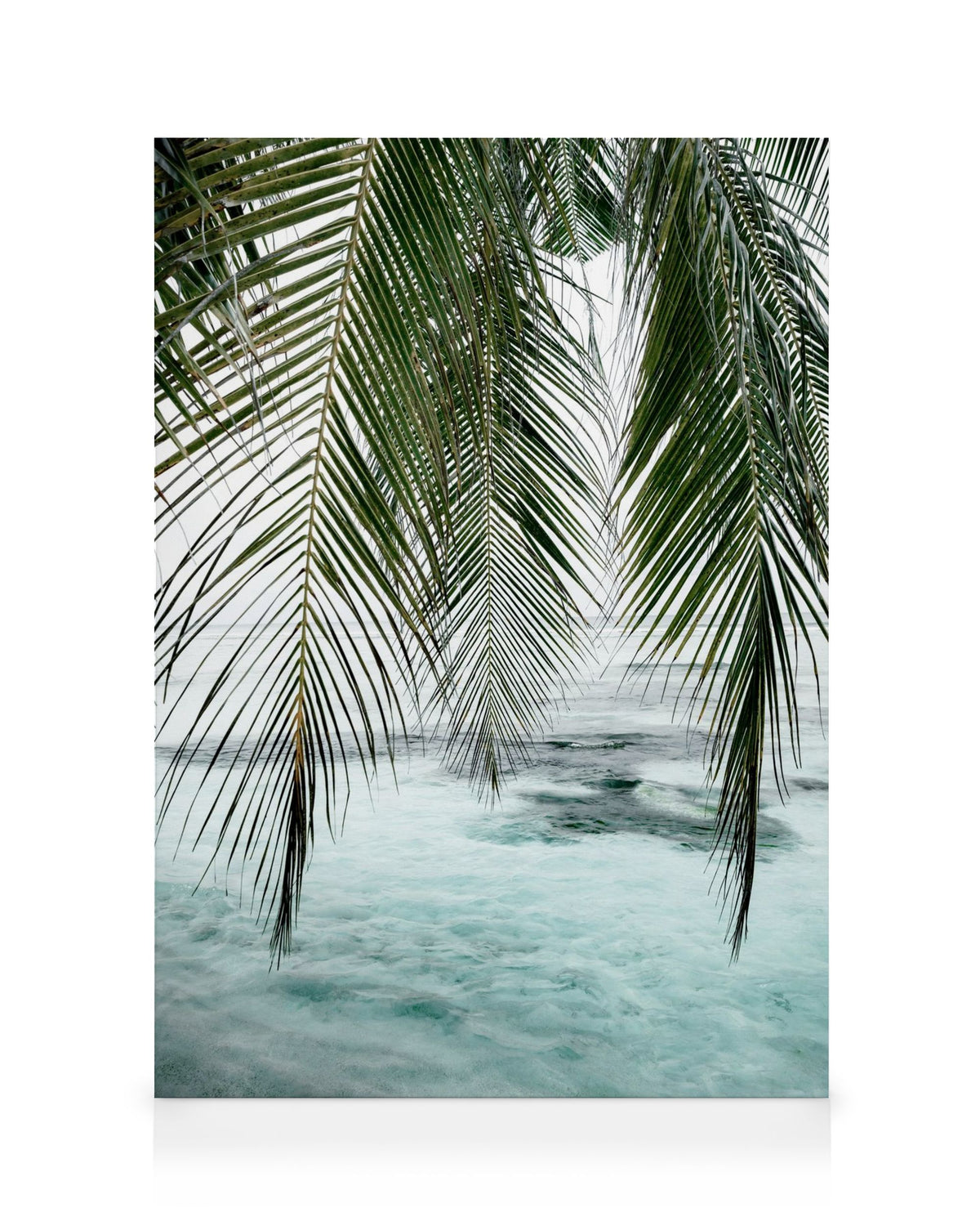 Ocean Palm Canvas print
