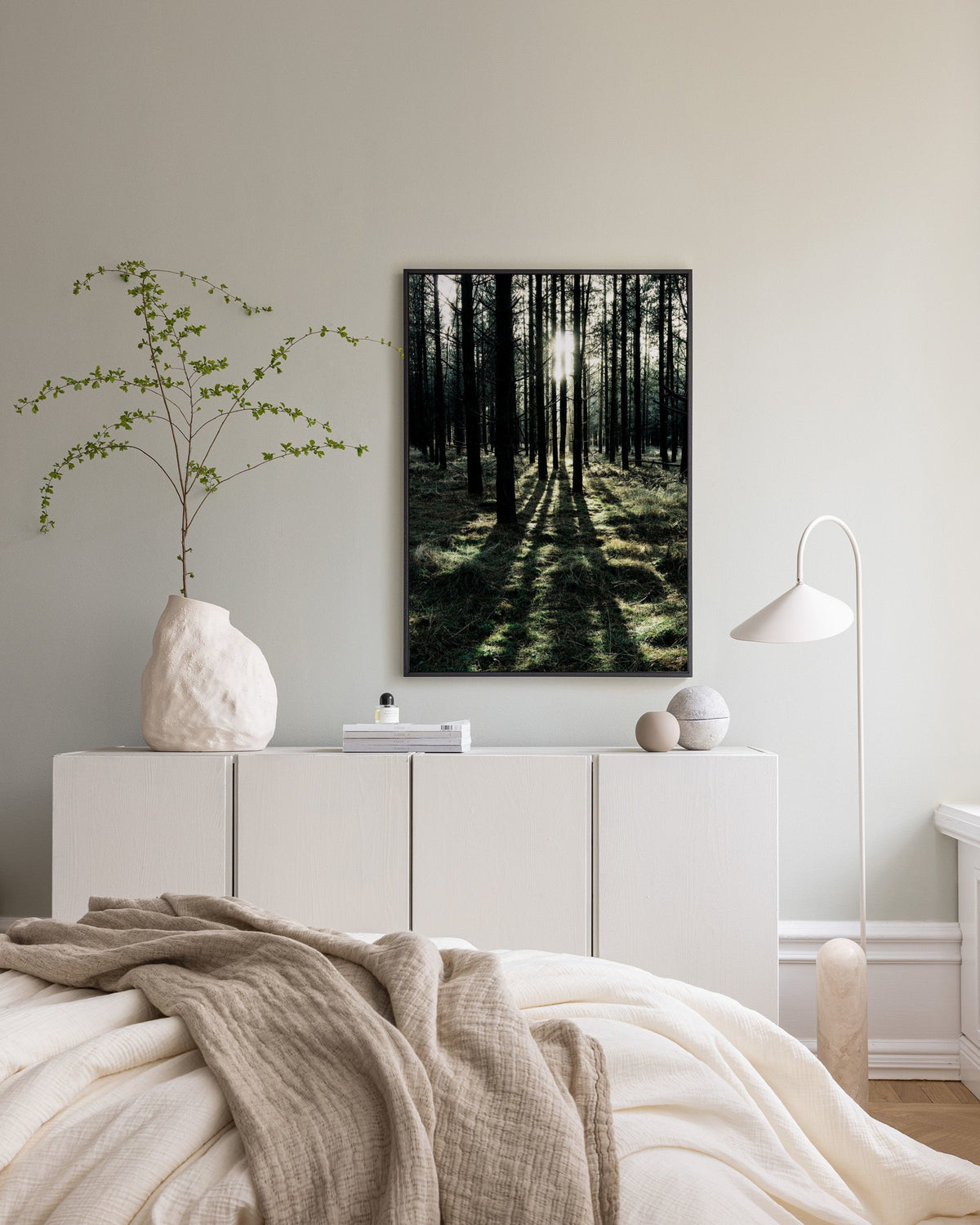 Sunlight In Forest Canvas print