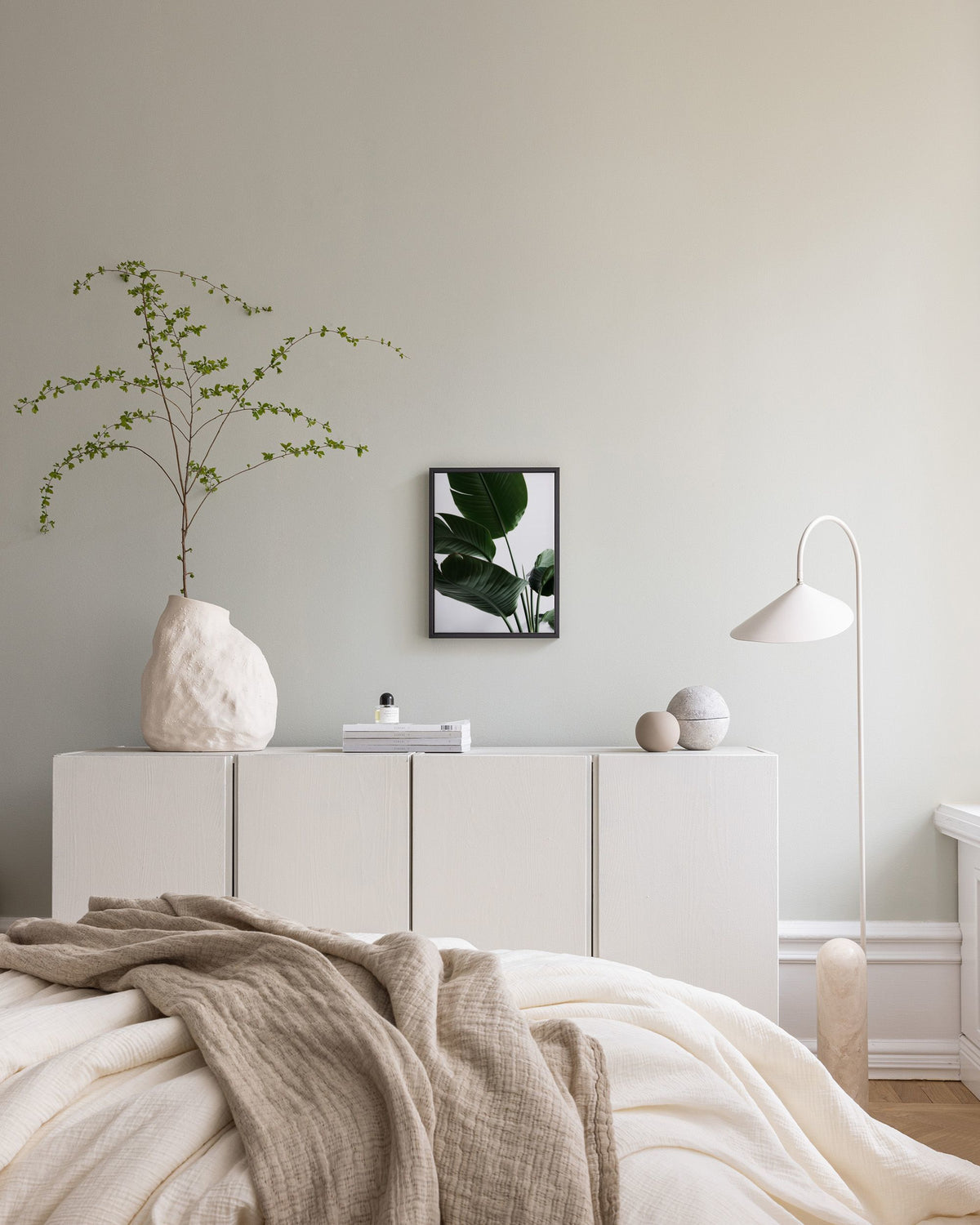 Strelitzia One Canvas print