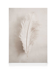 As a Feather Canvas print