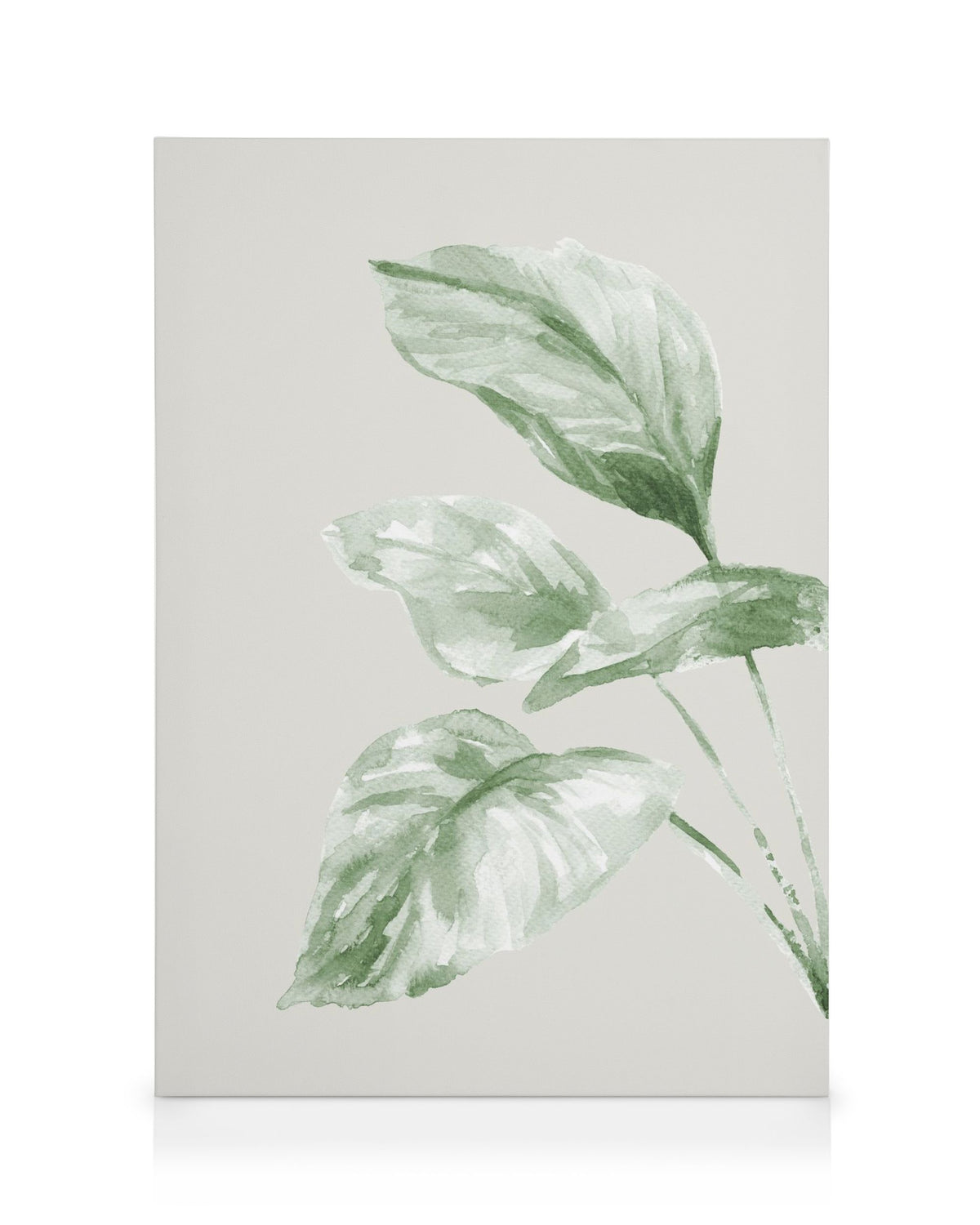 Painted Leaf No2 Canvas print