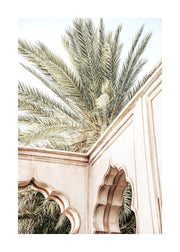 Palm Curves Print
