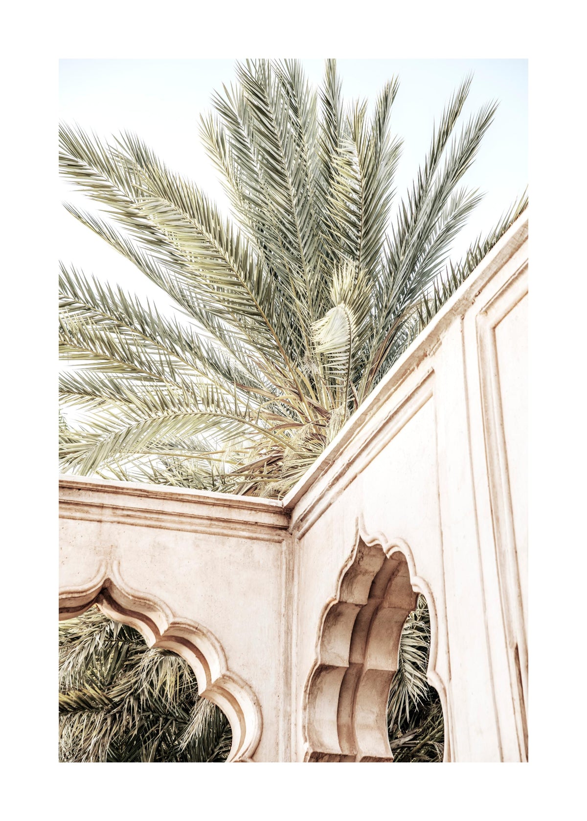 Palm Curves Print