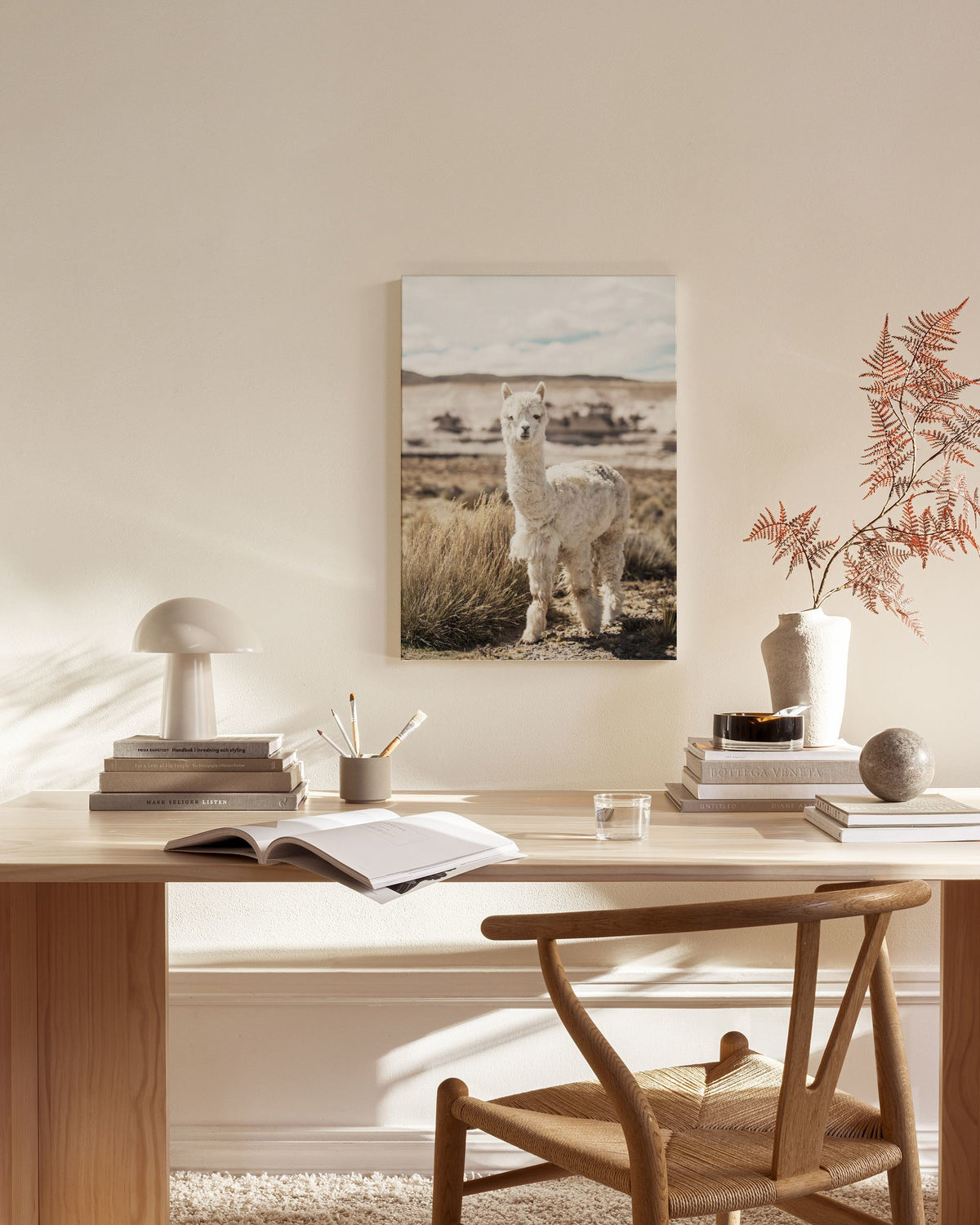Curious Alpaca Canvas print