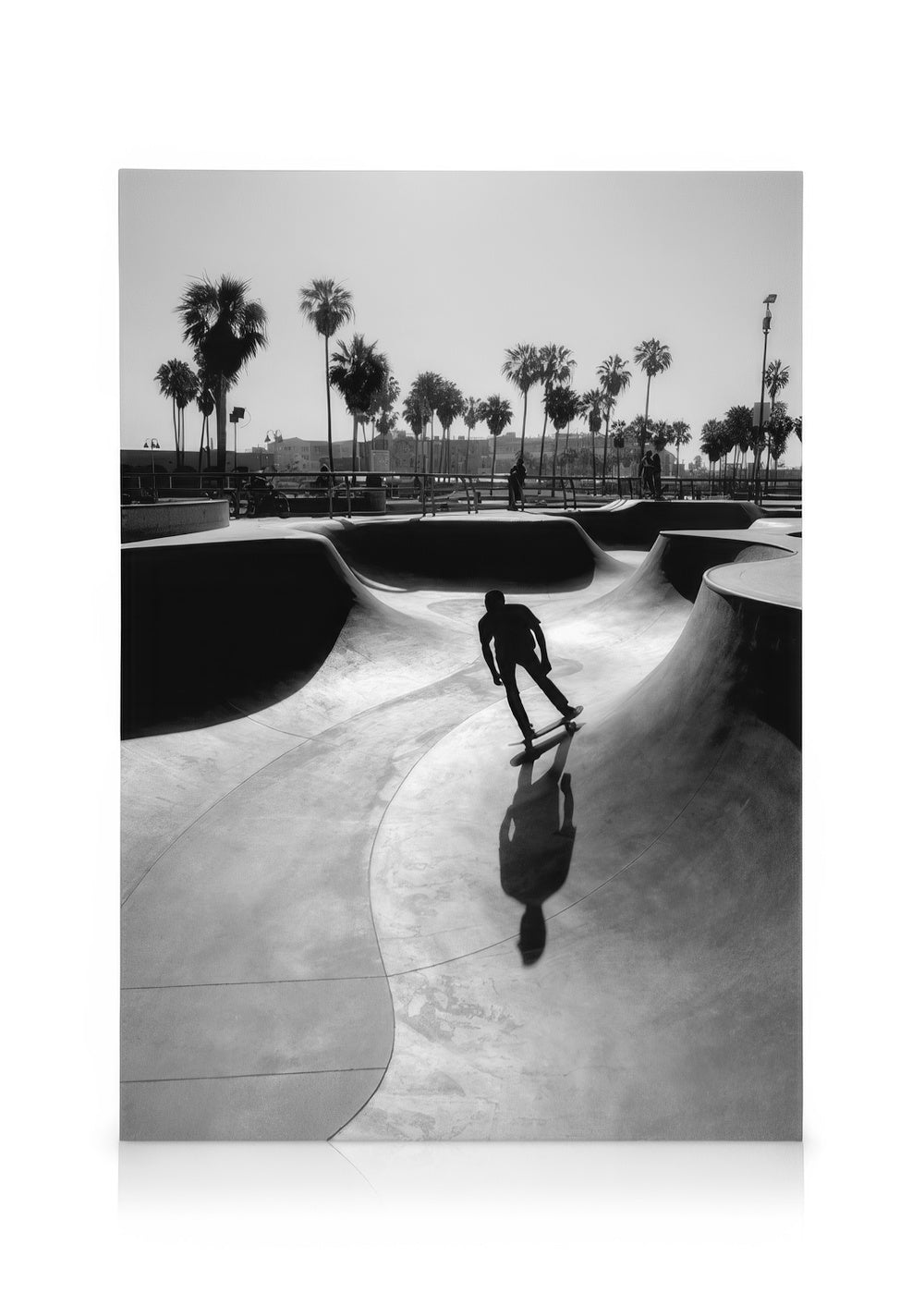 Venice Beach Skate Canvas print