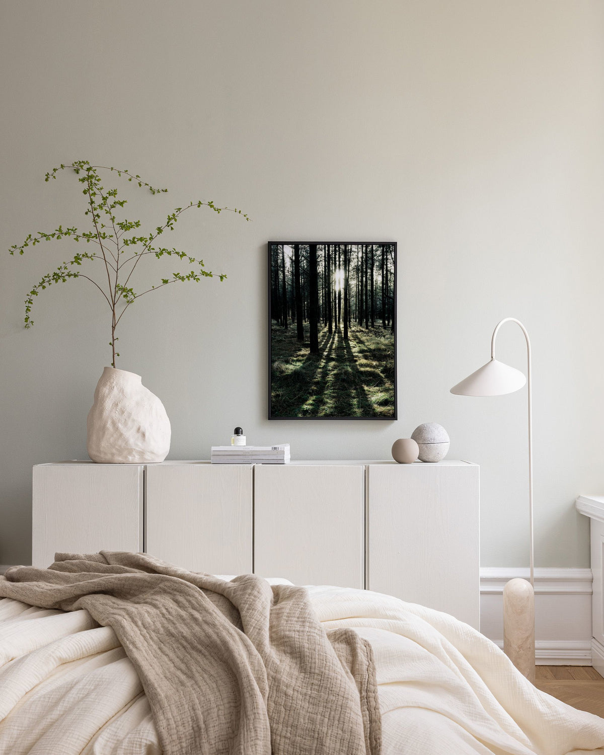 Sunlight In Forest Canvas print