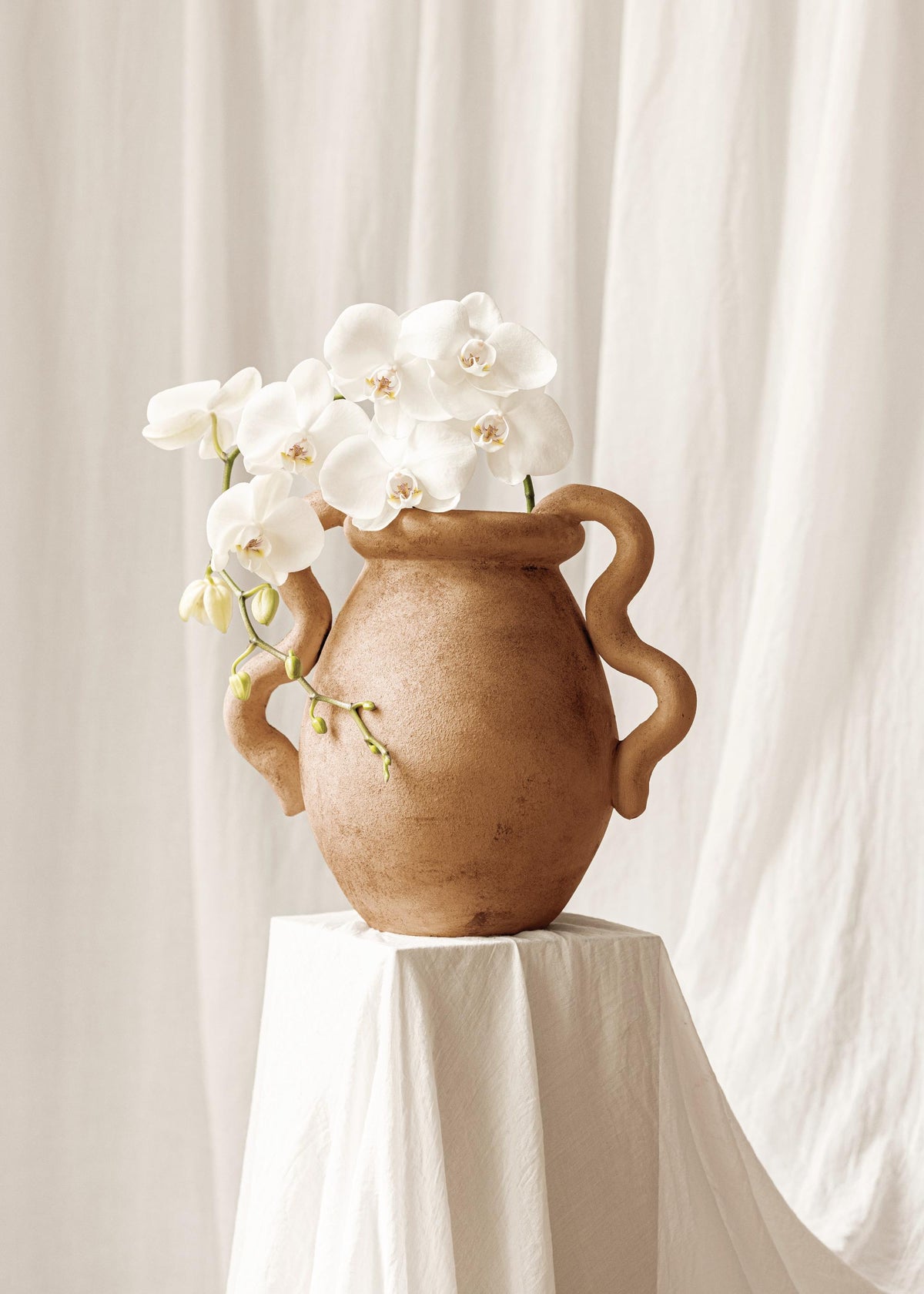 Orchids in Vase Print