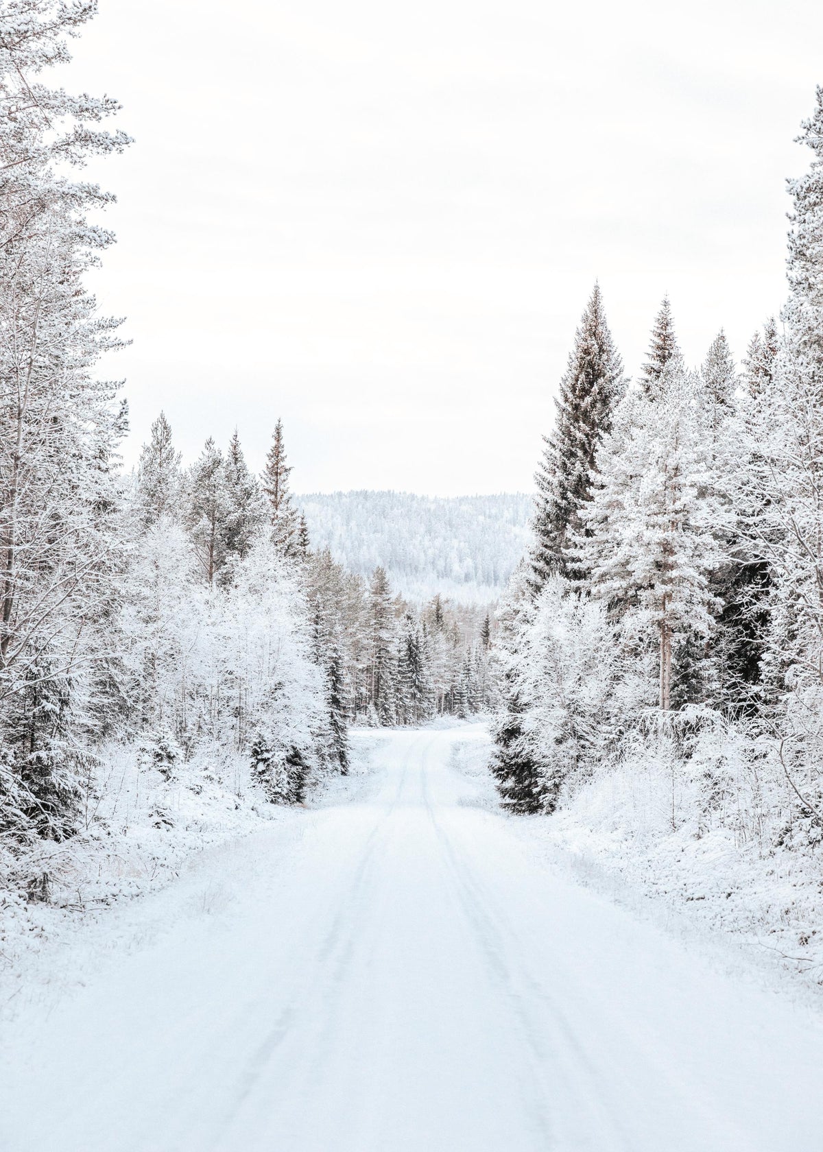 Snowy Forest Road Print