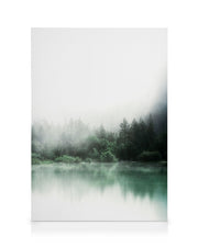 Forest Reflections Canvas print