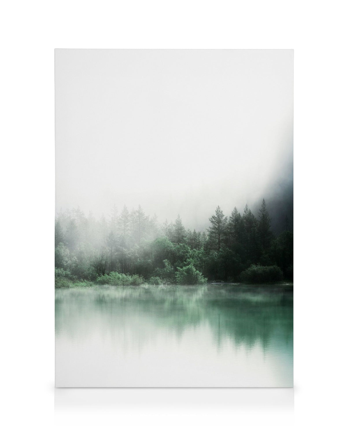 Forest Reflections Canvas print