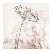 Beige Dried Flower Print