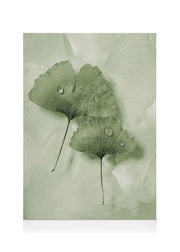 Green Ginkgo Canvas print