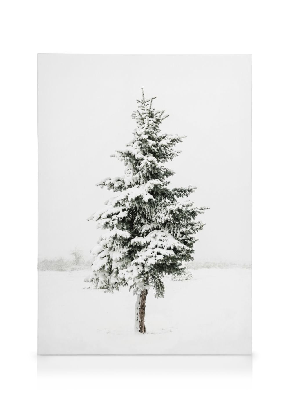 Snowy Spruce Canvas print