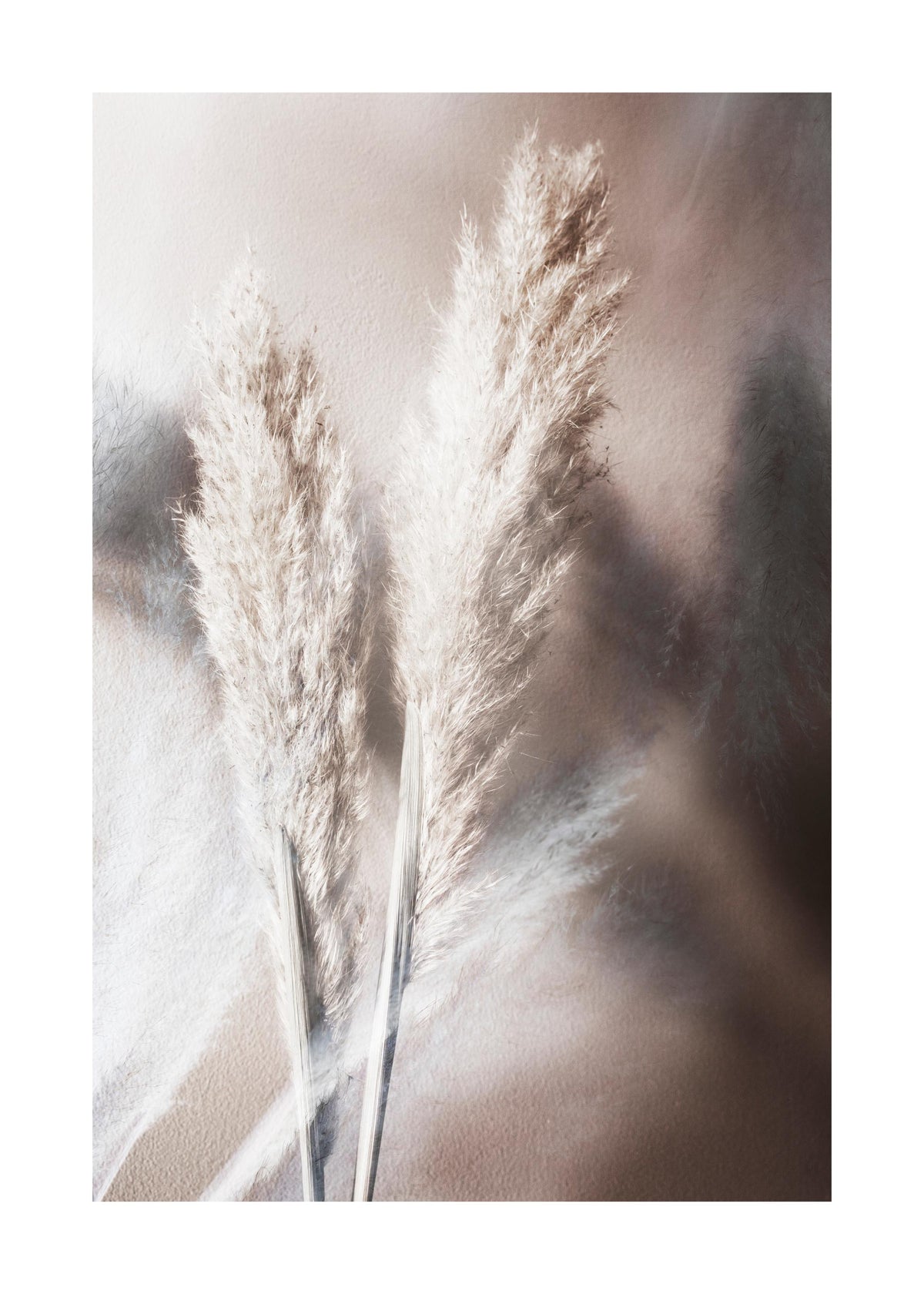 Abstract Reeds No1 Print