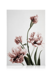 Pink Tulipe No3 Canvas print