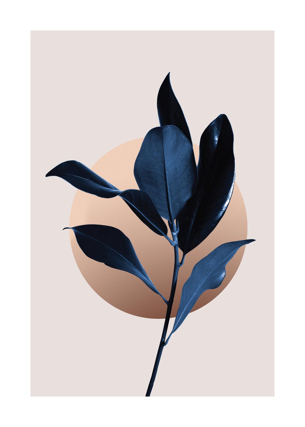 Blue Magnolia No2 Print