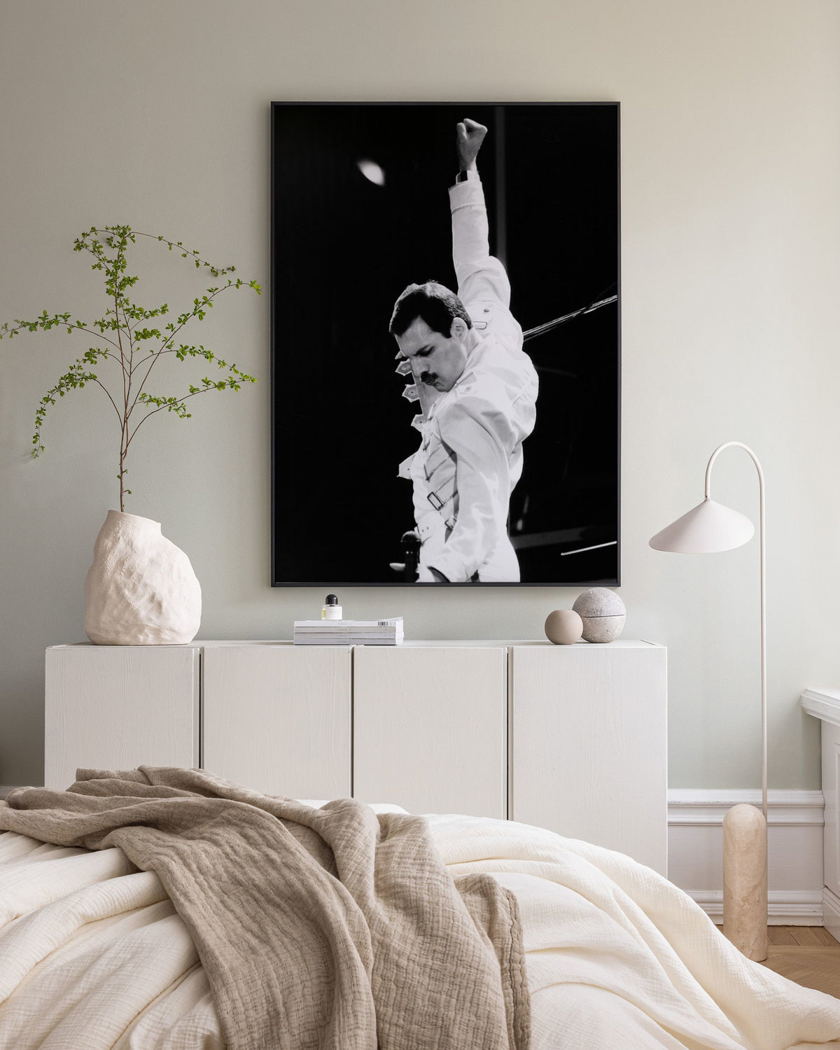 Freddie Mercury Canvas print