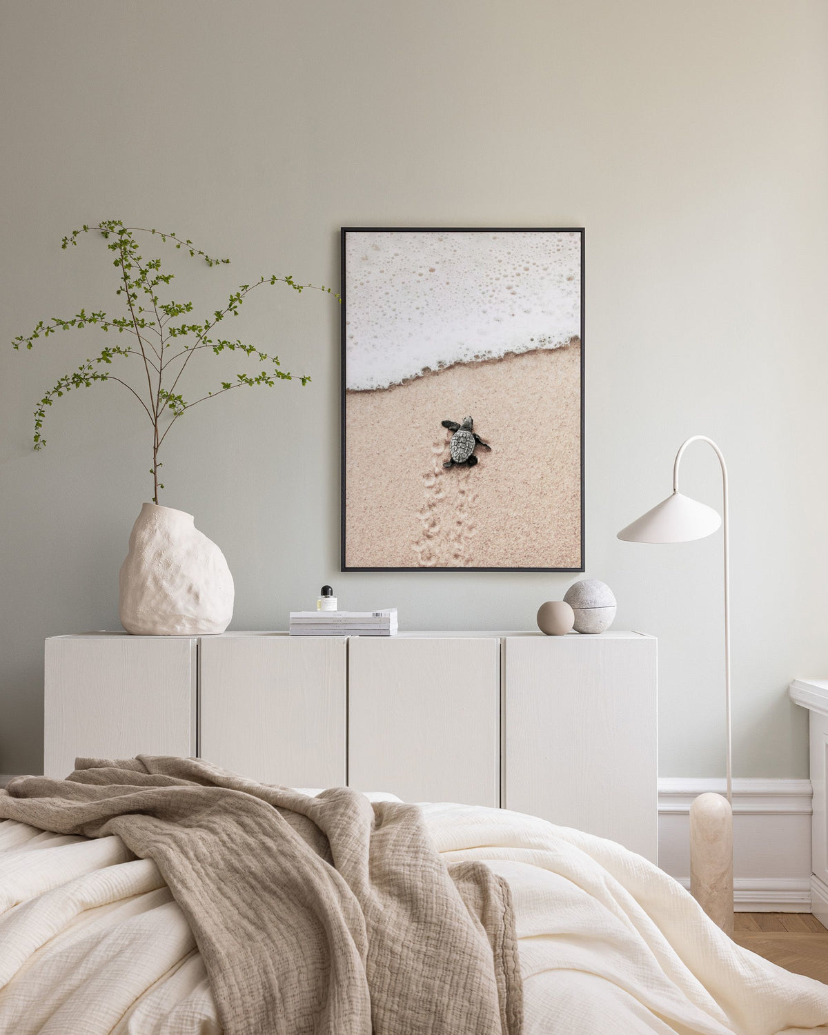 Baby Turtle Canvas print