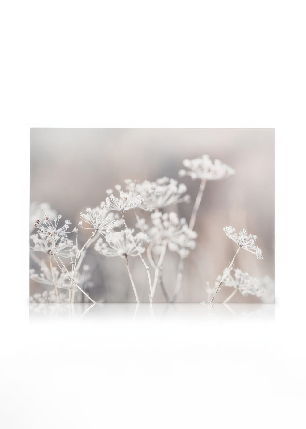 Frozen Botanical Canvas print