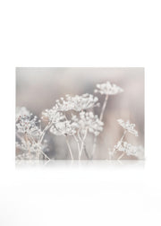 Frozen Botanical Canvas print