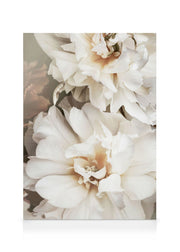 White Petals Canvas