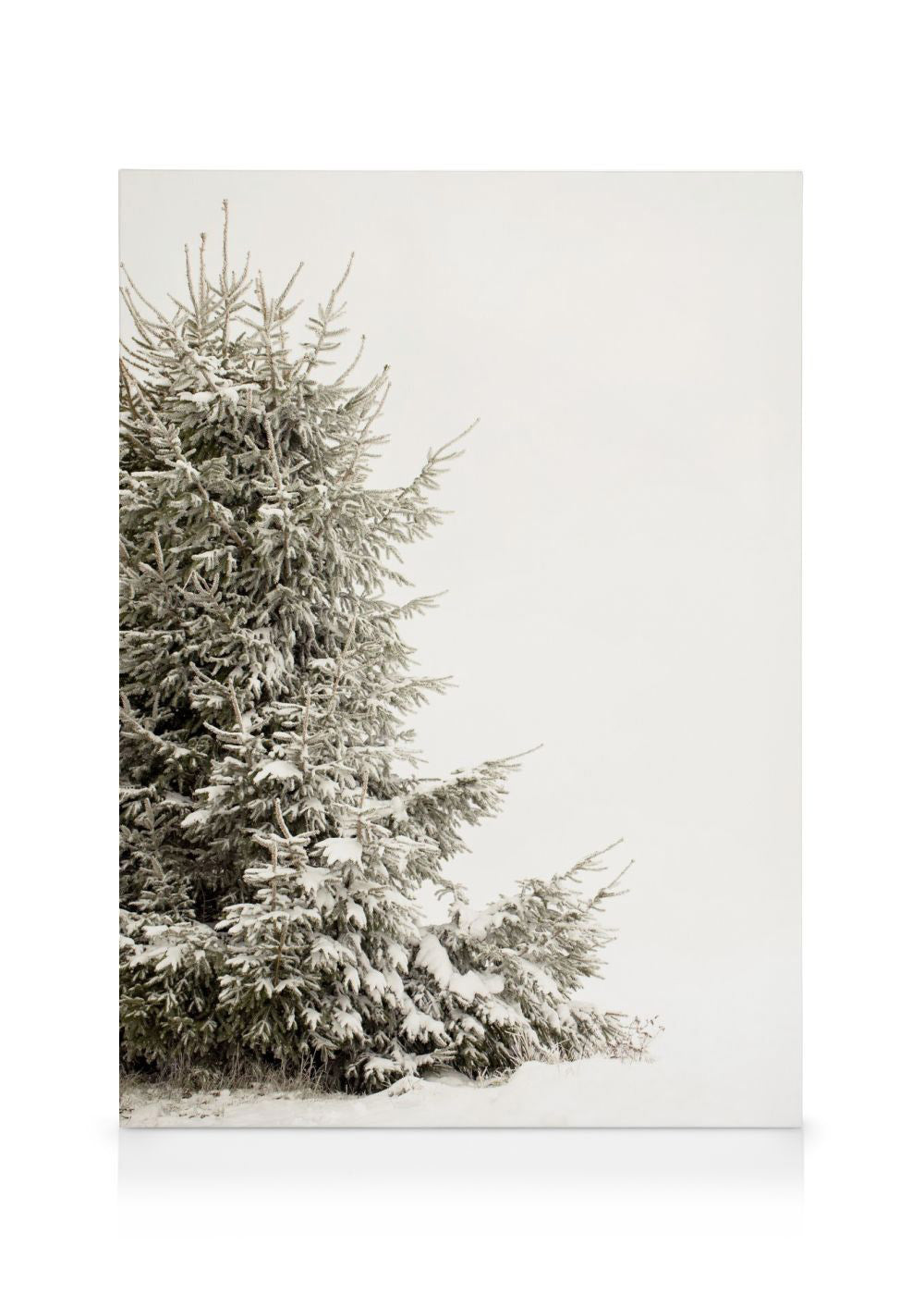 Snowy Holiday Tree Canvas print