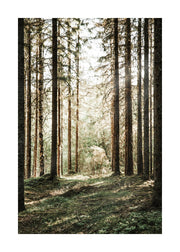 Forest Grove Print