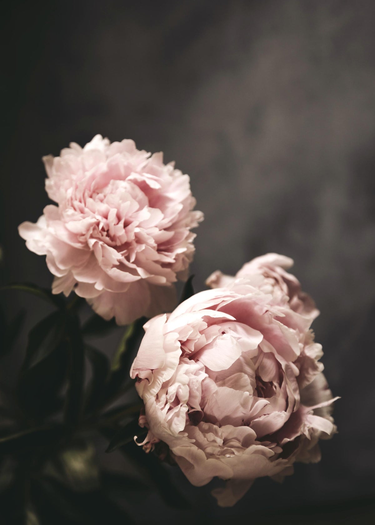 There's Beauty Print