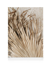 Dried Tropical Leaves Canvas print