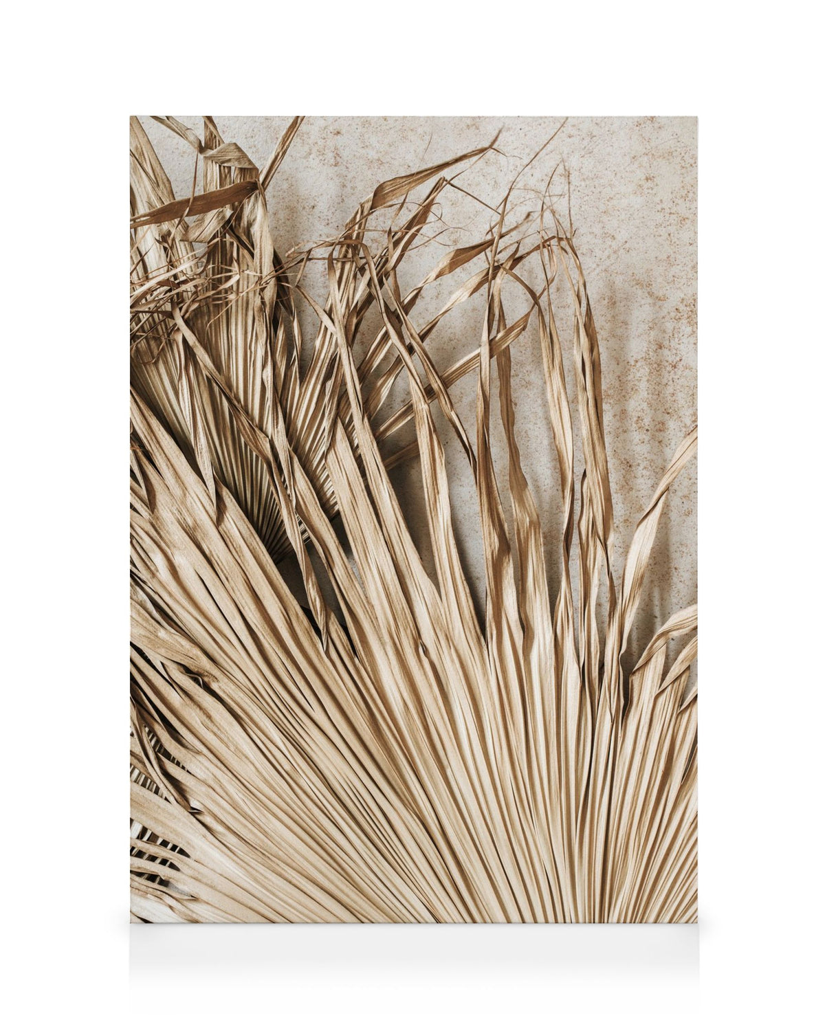 Dried Tropical Leaves Canvas print